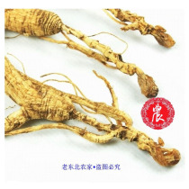 Changbai Mountain ginseng wild ginseng mountain ginseng under the forest wild ginseng 18g 79 each old old old ginseng