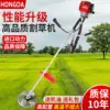 Товары от 安雨1百货店