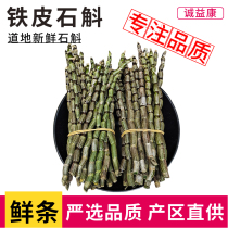 Dendrobium candidum 500g-50g fresh Huoshan Dendrobium Fengdou fresh four-year-old Dendrobium soup to make tea