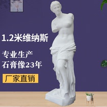 1 2 Mi Venus full-body plaster like wedding decoration painting room European statue art teaching aids shop ornaments