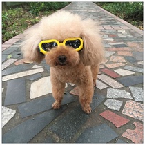 Pet sunglasses PC eco-friendly material can be fixed anti-off cat dog out goggles cat dog accessories