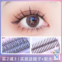everbab hybrid single-cluster false eyelash fairy wool natural simulation of eyelash sectional type A type of fish tail mixed