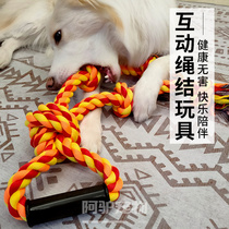 Dog toys pet bite-resistant molting rope knot medium large dog border Labrador Big Dog Interactive tug-of-war supplies