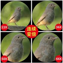American Star Tran single-tube outdoor distant bird-watching telescope high-definition high-power mobile phone glasses non-night vision