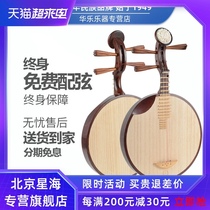 Beijing Xinghai Yueqin 8217 sandalwood Yueqin folk music performance professional-grade log color Yueqin musical instrument