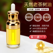 Camellia oil skin care topical hormone face allergy face natural wild pure camellia oil Acne muscle Farm tea tree oil