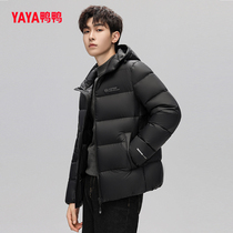 Duck Duck Down Clothes Male 2023 Fall New Short Short Money Tandem Hat Youth Casual Fashion Trend Easy Jacket C