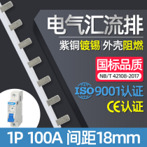 Electric bus bar 1P 100A national standard copper empty connection copper bar wiring bar dressing bus bar copper bar