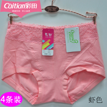 Color Field Briefs Female Moms High Waist 30937 Pure Cotton Breathable Comfort Big Code No marks Hip Closets shorts head