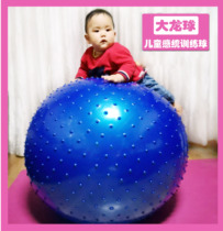 Sentimental training Big Dragon Ball Baby Children Early Education Vestibular Rehabilitation Fitness Ball Kindergarten Massage Yoga Ball