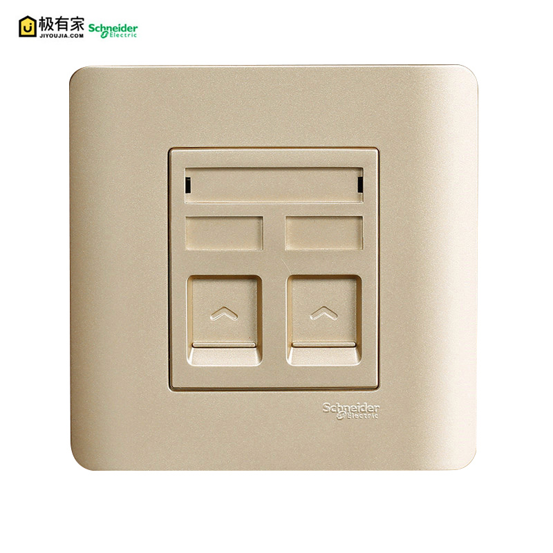 Schneider Electric Phone + computer socket Wall network cable panel weak power socket Light point drunk gold