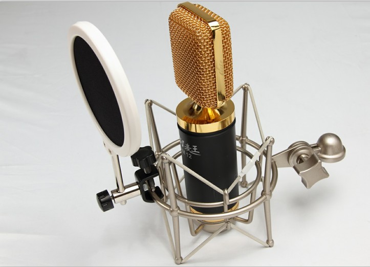 ISK Successful Small Blowout-proof Network Capacitive Microphone Blowout-proof Cover Microphone Wind-proof Cover Recording House Double-deck Blowout-proof Cover