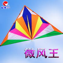 Feiyue Breeze King Weifang large adult breeze easy-to-fly kite Triangle diamond long tail new extra large kite