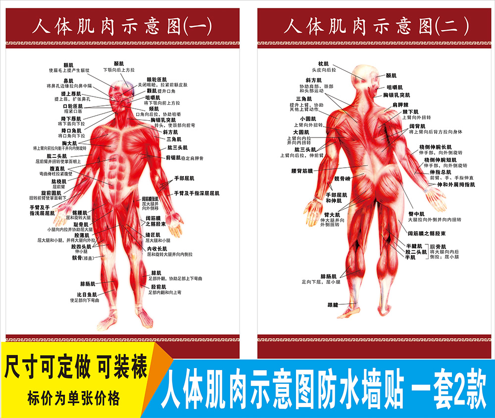 大唐万户侯全集下载