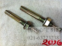 Core expansion screw hammer nail gecko knock expansion tube movement expansion bolt M16 * 100 -- M16 * 150