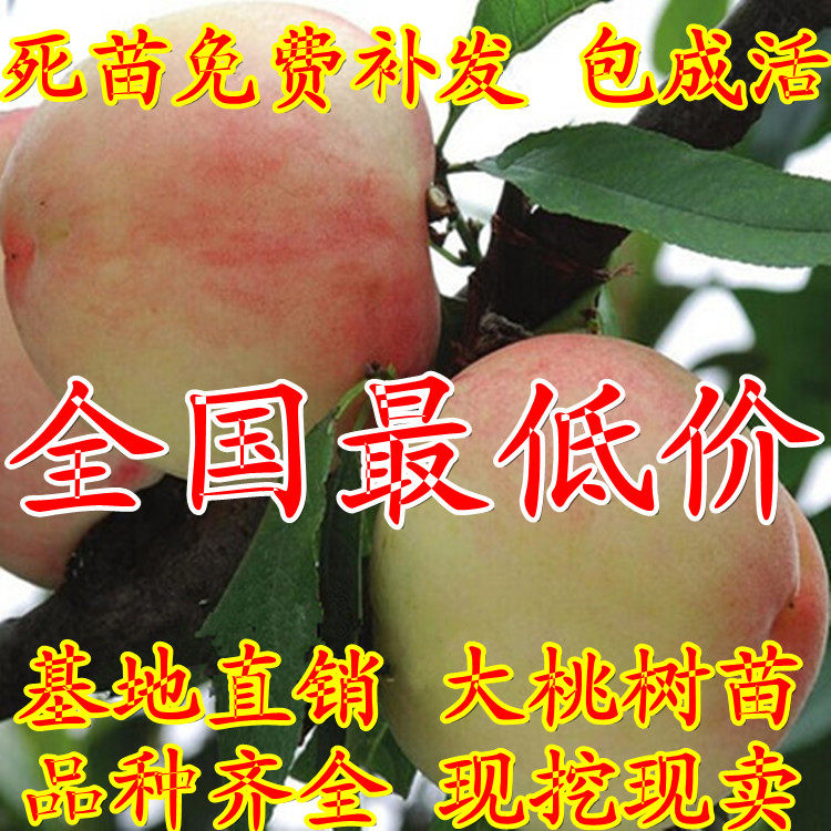 罗秀春 名福妻实mm书屋