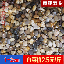 Deep fine throwing pebbles garden stone rain flower stone fish tank stone massage stone colorful 1-2cm