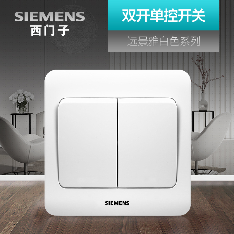 Siemens Double Open Single Control Switch Socket Panel Vision Yabai Household Electric Lamp Power Supply Wall Double Switch