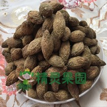  2021 New Minhou flavor olives dry light and salty sun-dried green fruits soup tea childrens snacks appetizing
