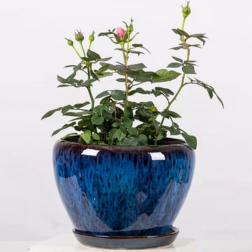 孔雀蓝陶瓷花盆-孔雀蓝陶瓷花盆促销价格、孔雀蓝陶瓷花盆品牌- 淘宝