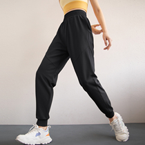 S-Plan Summer Speed Dry Sports Pants Women 2022 New Yoga Long Pants Loose Fitness Pants Grey Casual