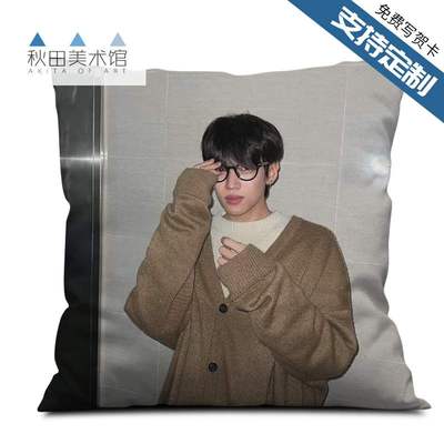 taobao agent Semantic errors Park Jae Chan Puqi contains the same big pillow quilted quilted quilted dual -use bedside back cushion customized photos