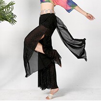 Modern dance wide leg pants Net red pants classical dance under the female adult body Chinese dance practice suit trousers