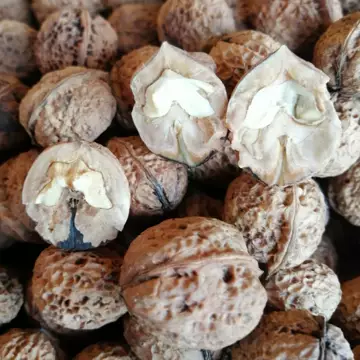 中国骨董 桃核 中国核桃-中国核桃促销价格、中国核桃品牌- 淘宝