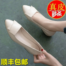 Genuine leather Sercon flat bottom single shoe woman 2022 new spring summer light mouth coarse heel pointed soft leather soft bottom 100 lap womens shoes