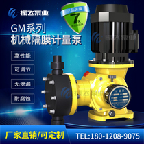 Zhenfei GM electric diaphragm pump Metering pump dosing pump Resistant to strong acid and alkali corrosion Sewage treatment dosing factory direct sales