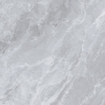 Shunhui tile full cast glaze floor tiles 889054 Van Lent