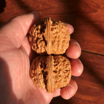 三角白狮子核桃一物一图-三角白狮子核桃一物一图促销价格、三角白狮子