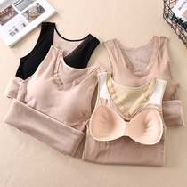 Delicate and enchanted lace lace with velvety vest female winter New detachable chest cushion to collect waist and warm underwear T82