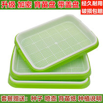  Special pot for bean sprouts seedling plate sprout vegetable balcony vegetable pot hydroponic vegetable sprout artifact garlic seedling planting