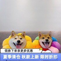 Bai Wan with Shiba Dog Sunflower Anti-Lick Collar Pet Cat Dog Elizabeth Flower Shame Collar