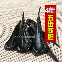 Five-step snake gallbladder Wuyishan cobra snake gall dry snake bile 7