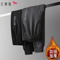 Red Dragonfly Winter Cotton Pants Men Outside of Garching Thickened Windproof Warm Men Casual Long Pants Boarder Bunches Pants