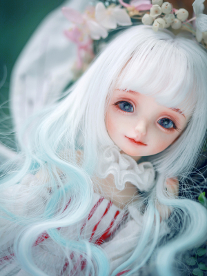 taobao agent Dollzone bjd small snow forest elf version DZ original 6 -point female doll genuine SD doll