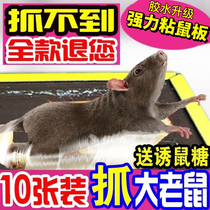 Mouse paste super strong sticky mouse board catch big mouse clip catch rodent glue dip home rat trap artifact cage