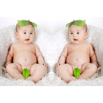 New twin posters Cute and beautiful male baby pictures wall stickers Baby pictorial prenatal education posters pictorial photos