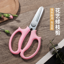Flower scissors Household fruit picking Flower shop special grape repair floral artist pruning scissors Fruit tree greening gardening scissors