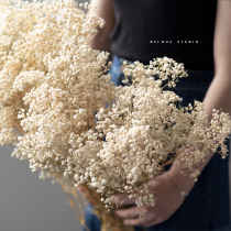 Gypsophila dried flowers forever Flowers bouquet home furnishings diy decorative ornaments light luxury ins hipster Nordic style