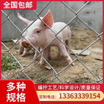 Hot-dip galvanized steel wire hook net barbed wire fence isolation net Orchard poultry breeding protective net circle mountain breeding net