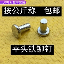 GB109 flat head solid iron rivet galvanized flat head knock type rivet M3M4M5M6M8 Factory Direct