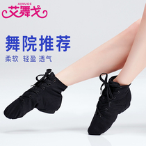 Children dance shoes soft-soled shoes adult jazz shoes hip-hop lian gong xie female high shoes canvas shoes jiao shi xie