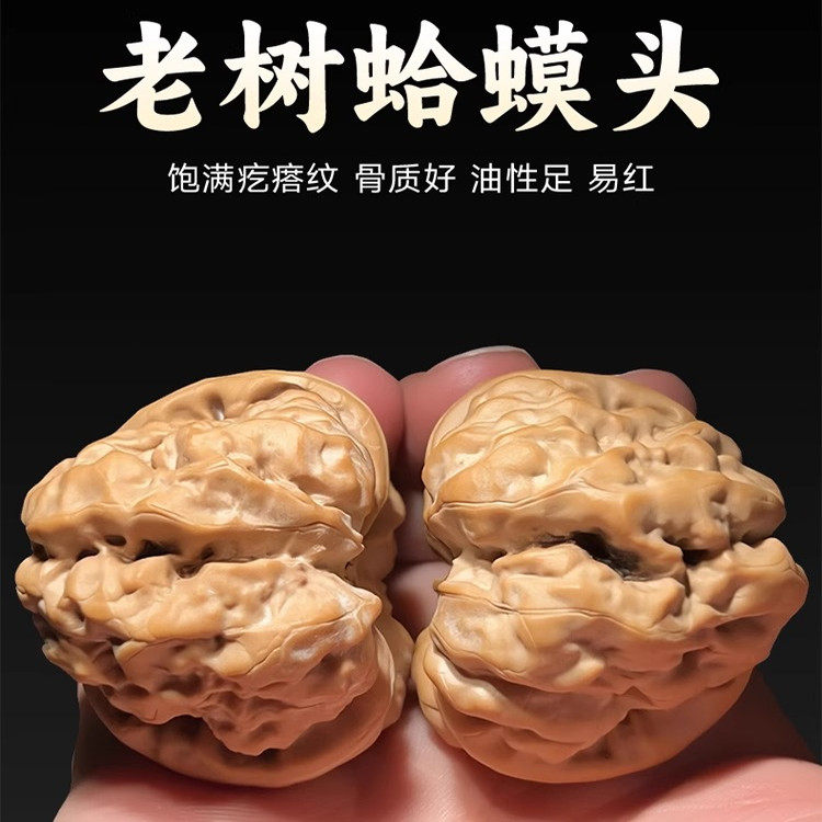 O1CN019WLGNM1LllnT8lISi_!!