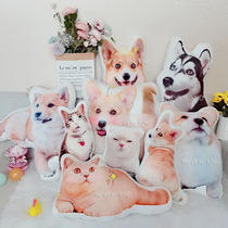 Special Number of pets with pillow customisation to figure out the photo Diy Meng Favorite Souvenir