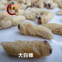 Big white bee fresh horse bee pupae pupae Hu Feng tiger head bee pupae insect fresh frozen 500g