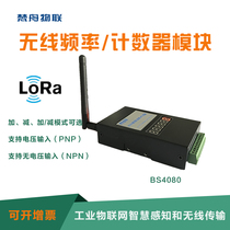 BS4080 wireless counter module LoRa communication MODBUS-RTU communication protocol
