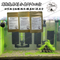 Long long original crystal shrimp open tank Five Treasures active microbial bombrin Chlorella spp.